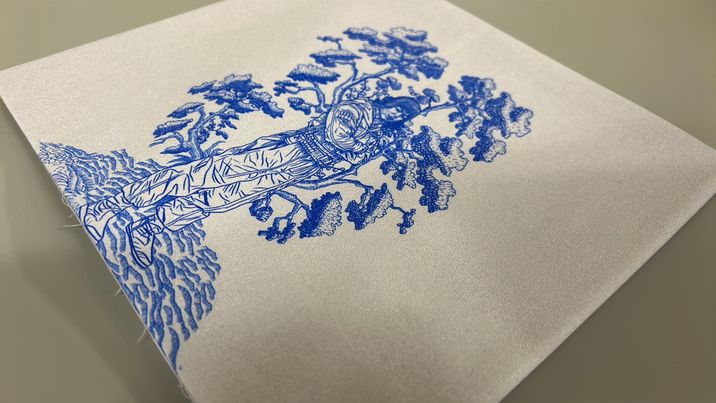 *RETAIL* WOSW Toile 30x36 Panels (Various Colorways)