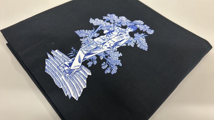 *RETAIL* Doctor Toile 30x36 Panels (Various Colorways)