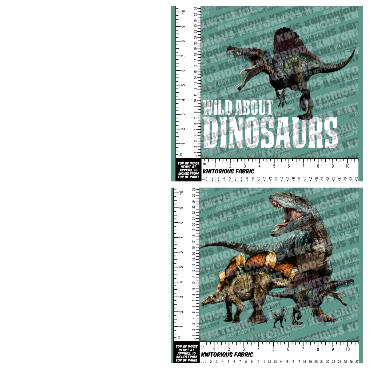 *Pre-Order* Dino Panels