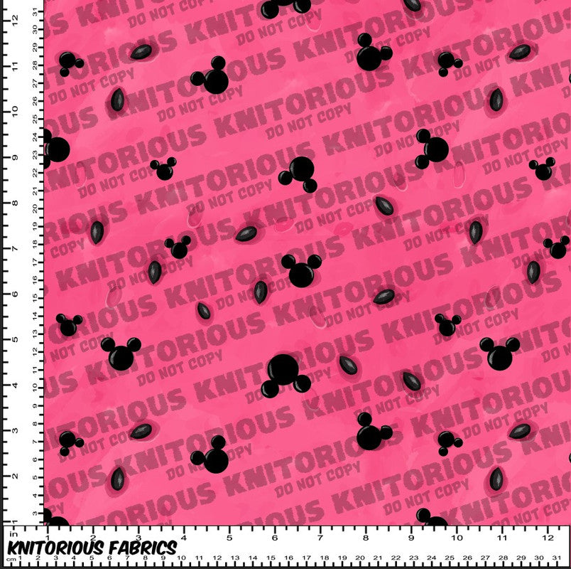 VINYL *Pre-Order* Watermelon Mouse