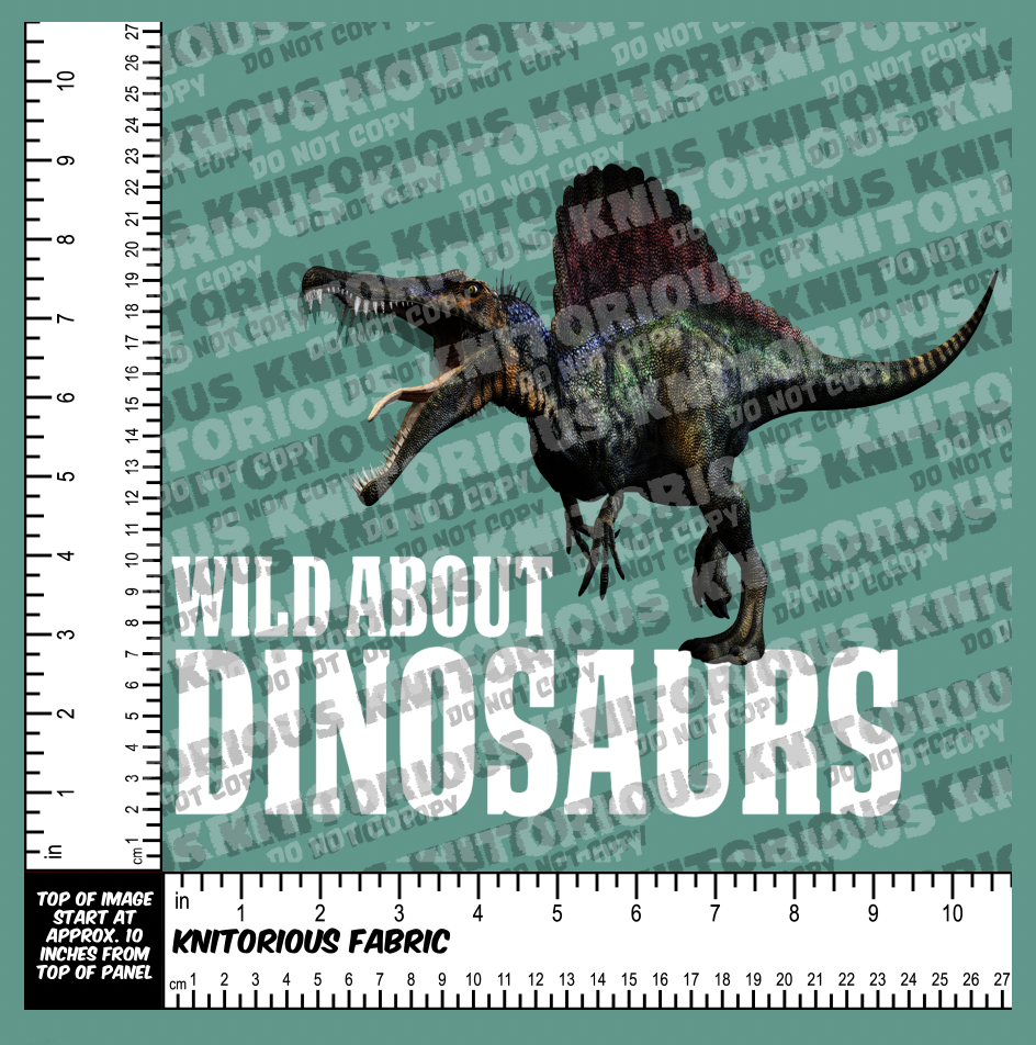 *Pre-Order* Dino Panels
