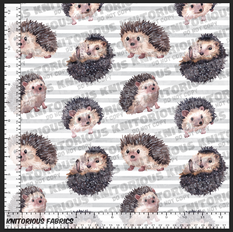 *Pre-Order* Hedgehogs