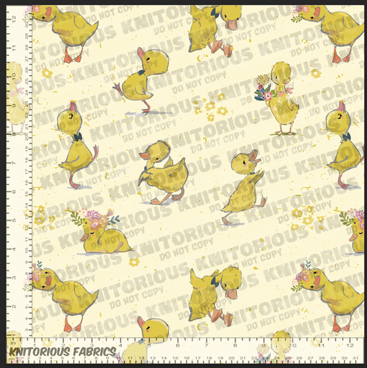 *Pre-Order* Little Duckies