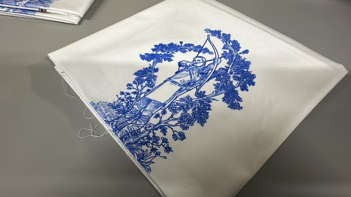 *RETAIL* Ring Toile 20x24 Panels (Various Colorways)