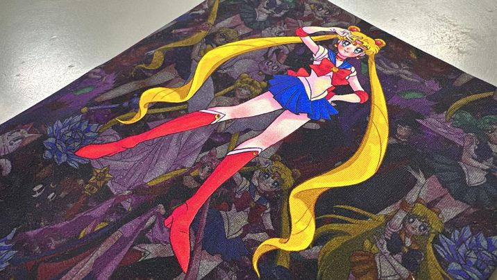 *RETAIL* Moon Girls 20x24 Panels (Various Designs)