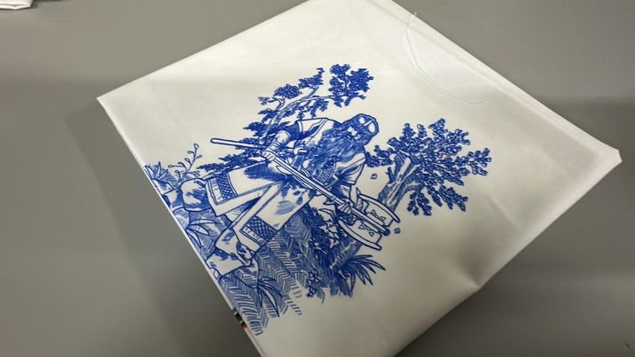 *RETAIL* Ring Toile 20x24 Panels (Various Colorways)