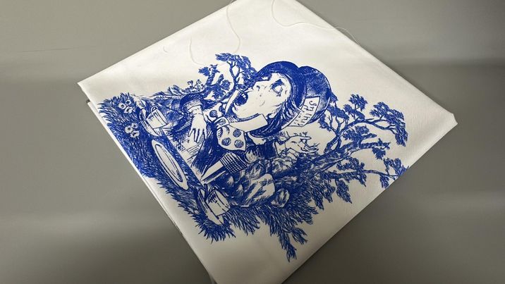 *RETAIL* Wonderland Toile 20x24 Panels