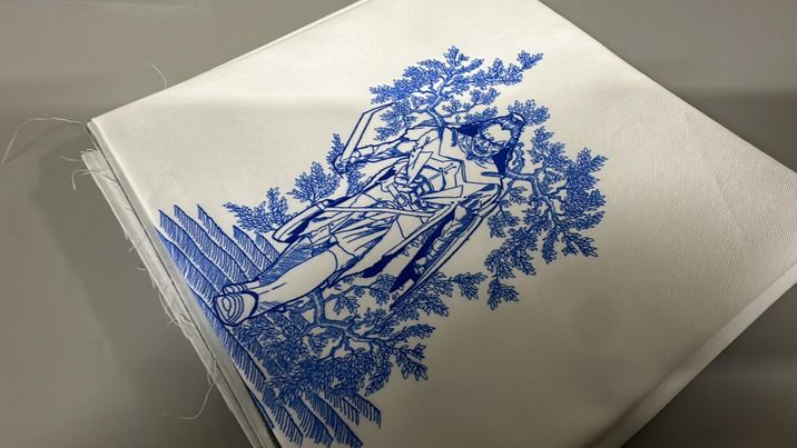 *RETAIL* Ring Toile 20x24 Panels (Various Colorways)