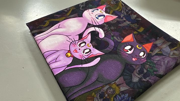 *RETAIL* Moon Girls 20x24 Panels (Various Designs)