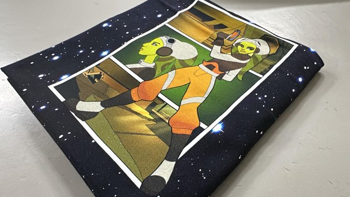 *RETAIL* Destiny 20x24 Panels