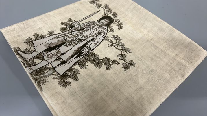 *RETAIL* Ring Toile 30x36 Panels (Various Colorways)