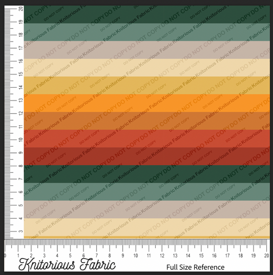 *Vinyl Pre-Order* 70s Quest Squad Stripes