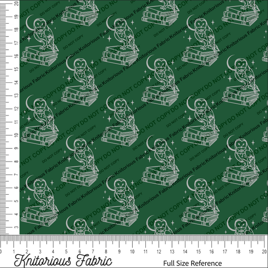 *VINYL Pre-Order* PT Owl - Green