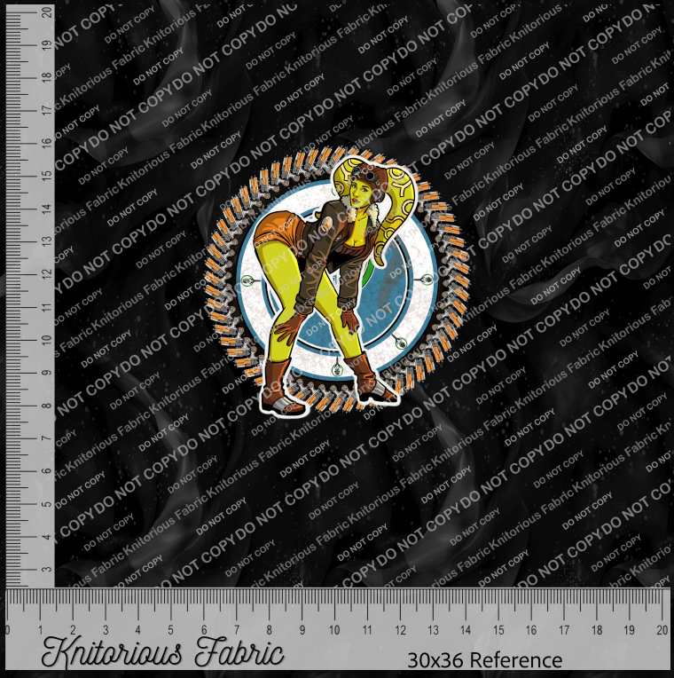 *Pre-Order* SW Pinup Panels