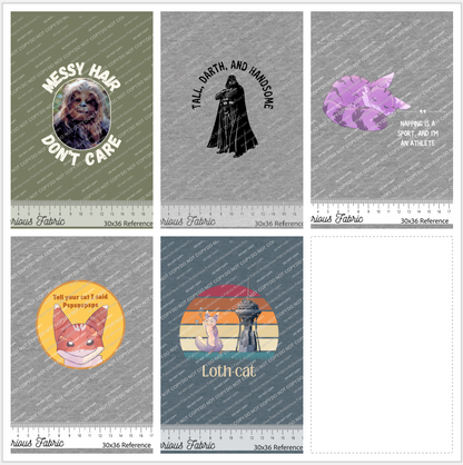*Pre-Order* Random SW Set TWO Panels