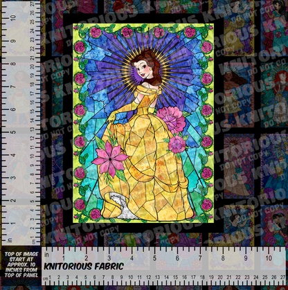 *Pre-Order* Stained Glass Princess Panels