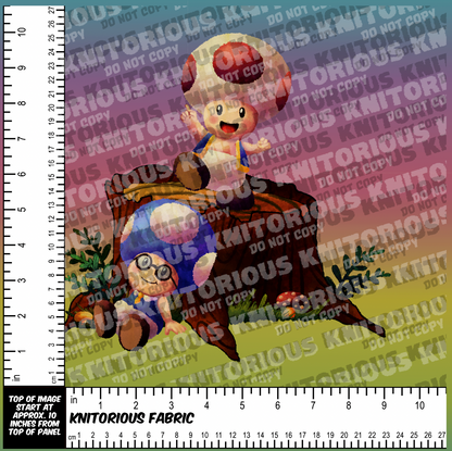 *Pre-Order* Toads and Shrooms (Rainbow) Panels
