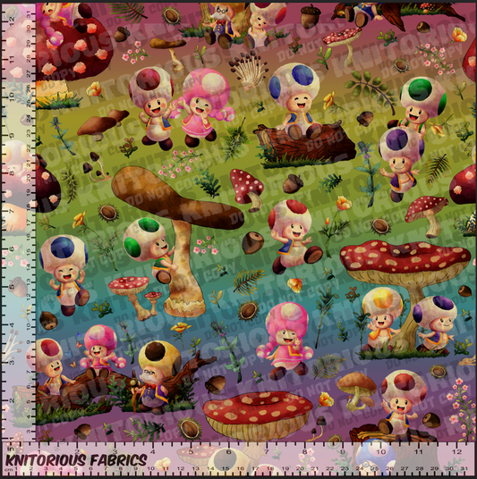 *Pre-Order* Toad and Shrooms  - Rainbow